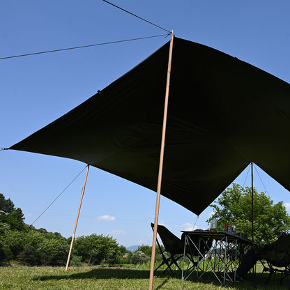 Alu. Tarp Poles